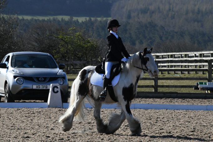 A rider in a black jacket and hat on a piebald horse performing in an outdoor arena.