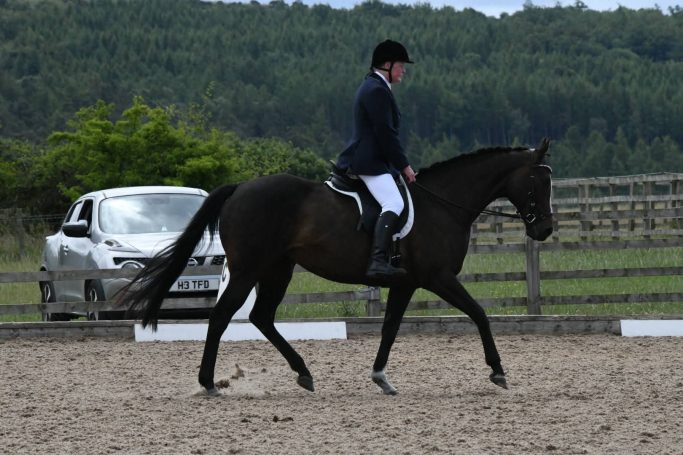 A rider in formal attire on a black horse in a dressage arena.
