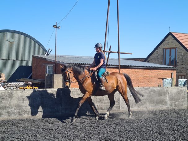 A person riding a brown horse in a sand arena with a blue sky in the background.